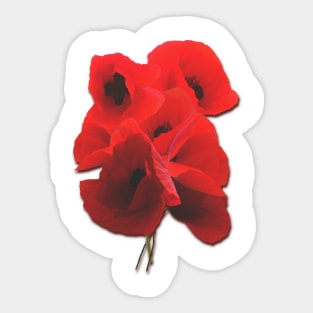 A bunch of poppies Sticker